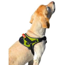 Peak Pooch - Heavy Duty, Reflective, Lightweight, Padded, No-Pull, Pet Dog Harness, Rip Stop Nylon, Tough Stainless Steel Hardware, Ideal for Walking, Running, Outdoor, for Small, Medium, Large Dogs