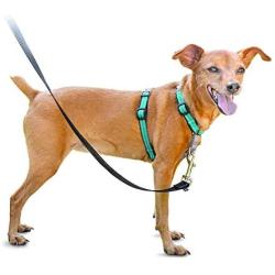 PetSafe 3 in 1 Harness - No-Pull Dog Harness - for X-Small, Small, Medium and Large Breeds - from the Makers of the Easy Walk Harness