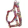 DOOG Step-In Reinforced Neoprene Harness, Water Friendly, Quick-Drying, 2 Adjustable Areas DOOG Step-In Reinforced Neoprene Harness, Water Friendly, Quick-Drying, 2 Adjustable Areas