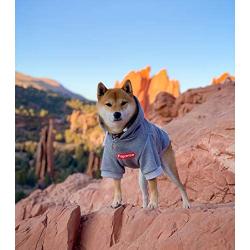 ChoChoCho Pup Dog Hoodie Pet Clothing Cotton Cat Hoodies Stylish Streetwear Sweatshirt Gray Tracksuits Outfit for Dog Cat Puppy Small Medium Large (XL)