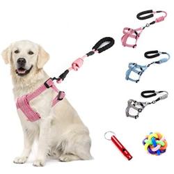 SINCHER Dog Harness No-Pull ，Pet Collar withTraining Leash，Dog Training Whistle and Ball ，Safety and Easy Control Front Small Medium Large Dogs