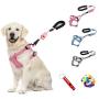 SINCHER Dog Harness No-Pull ，Pet Collar withTraining Leash，Dog Training Whistle and Ball ，Safety and Easy Control Front Small Medium Large Dogs
