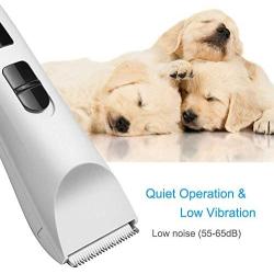 Nicewell Dog Clippers Cat Shaver, Low Noise Pet Grooming and Trimming Clippers Kit, USB Rechargeable Cordless Dog and Cat Grooming Set, Detachable Blade (Concise White)