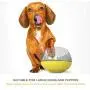 Lifeunion Dog Slower Feeder Bowl Spill-Proof Pet Tumbler Bowel to Slow Down Eating Interactive Puzzle Bloat Food Bowls for Dogs Cats Lifeunion Dog Slower Feeder Bowl Spill-Proof Pet Tumbler Bowel to Slow Down Eating Interactive Puzzle Bloat Food Bowls for Dogs Cats