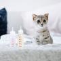 POPETPOP 6pcs 50ml Baby Pet Nursing Bottle - Pointed Nipple Safe Dog Cat Milk Bottle for Small Animal/Cats/Dogs/Puppy/Kitten