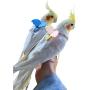 TBWHL Adjustable Parrot Bird Harness Leash Set Anti-bite Training Harness for Parrots