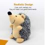 CPYOSN Hedgehog Dog Toys, Dog Squeak Plush Pet Toys Intreactive Training Stuffed Dog Chew Toys for Puppies and Small Dogs, 2 Pack
