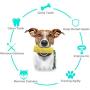 N/D Dog chew Toys, Squeak Toys for Dog Aggressive chewers, Used for pet Training of Medium and Large Dogs, Teeth Cleaning