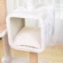 Catry Dynasty, 5 Level Cat Tree with Paper Rope Scratch Post, Condo, and Spring Toy Multiple Sizes