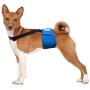Paw Inspired Dog Diaper Suspenders | Dog Suspenders, Canine Suspenders | Dog Diaper Harness (S/M, Black)