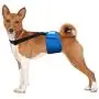 Paw Inspired Dog Diaper Suspenders | Dog Suspenders, Canine Suspenders | Dog Diaper Harness (S/M, Black)