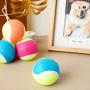 Medium Tennis Balls for Dogs, Neon Fetch Toys for Pets (12 Pack)