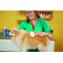 Andis Pet Self-Cleaning Animal Slicker Brush (40160)