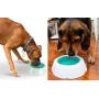 TDL Pet Frosty Bowl - Pet Water Bowl - Frosty Bowl Chilled Pet Water Dish - Keeps Water Cold Up to 8 Hours, 16 Ounces