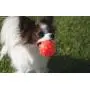 Jolly Pets Jumper, 4'', Orange, Large, Model Number: JTJJ04OR Jolly Pets Jumper, 4'', Orange, Large, Model Number: JTJJ04OR