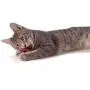 Petstages Catnip Plaque Away Pretzel Petstages Catnip Plaque Away Pretzel