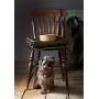 Mason Cash Cane Ceramic Dog Bowl Lettered Dog 5''