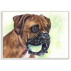 Stupell Industries Boxer with Ball Dog Pet Animal Watercolor Painting Wall Plaque, 13 x 19, Design by Artist George Dyachenko