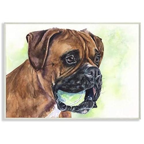 Stupell Industries Boxer with Ball Dog Pet Animal Watercolor Painting Wall Plaque, 13 x 19, Design by Artist George Dyachenko
