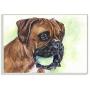 Stupell Industries Boxer with Ball Dog Pet Animal Watercolor Painting Wall Plaque, 13 x 19, Design by Artist George Dyachenko
