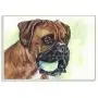 Stupell Industries Boxer with Ball Dog Pet Animal Watercolor Painting Wall Plaque, 13 x 19, Design by Artist George Dyachenko Stupell Industries Boxer with Ball Dog Pet Animal Watercolor Painting Wall Plaque, 13 x 19, Design by Artist George Dyachenko