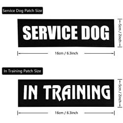 Homiego 4 Pack Luminous Service Dog Patch in Training Velcro, Reflective Glow in Dark Night, Military Morale Badge for Dog Harness Vest (Size: 6'' x 2'')