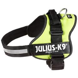 Julius-K9 Powerharness, mini-mini, kiwi