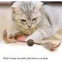 AnHua 3 Pcs Cats Chew Toy Cat Chew Sticks Dental Health Clean Remove Cat Tartar Pet Toys Interactive Funny cat Molar Tool AnHua 3 Pcs Cats Chew Toy Cat Chew Sticks Dental Health Clean Remove Cat Tartar Pet Toys Interactive Funny cat Molar Tool