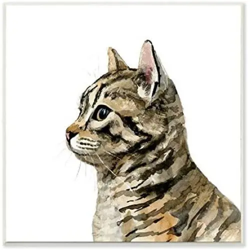 Stupell Industries Watercolor Cat Portrait Kitten House Pet Minimal, Designed by Victoria Barnes Art, 12 x 12, Wall Plaque Stupell Industries Watercolor Cat Portrait Kitten House Pet Minimal, Designed by Victoria Barnes Art, 12 x 12, Wall Plaque