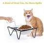 JOYO Cat Bowls Elevated, Tilted Cat Food Bowls, Raised Cat Bowls for Food and Water, Protect Pets Spine, Dishwasher and Microwave Safe, Ceramic cat Food Dishes and Bowls for Indoor Cat or Small Dogs