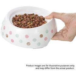 Richell Non-Tip & Skid Pet Bowl Extra Small, Dog and cat Feeder with Spill Proof Smart Edge