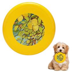 Pet Frisbee Flying Disc Dog Toy - Multifunction Five Lemons Jennifer Lommers