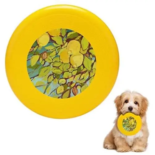 Pet Frisbee Flying Disc Dog Toy - Multifunction Five Lemons Jennifer Lommers Pet Frisbee Flying Disc Dog Toy - Multifunction Five Lemons Jennifer Lommers