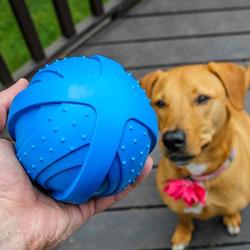 ST Pet 532501 Rowdy Roller Ball Dog Toy, Blue, 4.5'' Diameter