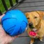 ST Pet 532501 Rowdy Roller Ball Dog Toy, Blue, 4.5'' Diameter