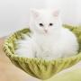 Large Cat Tower, Modern Cat Tree Condo, 2 Spacious House, Green Sofa Cloth Covered, Tall Perch with Raised Edge, Soft Cat Basket, Sisal Scratching Post