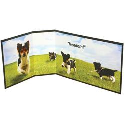 PetSafe Piddle Place Pet Potty Protective Guard, Freedom