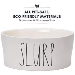RAE DUNN BY MAGENTA Elongated Pet Bowl