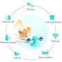 LEJGEQR Cat Toys for Indoor Cats,Interactive Cat Toy with Suction Cup Windmill Kitten Toys Cat Toothbrush Toy Kitty Toys with Hair Brush Turntable Massage Scratching Tickle for Cats Kitten Kitty