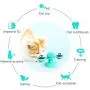 LEJGEQR Cat Toys for Indoor Cats,Interactive Cat Toy with Suction Cup Windmill Kitten Toys Cat Toothbrush Toy Kitty Toys with Hair Brush Turntable Massage Scratching Tickle for Cats Kitten Kitty LEJGEQR Cat Toys for Indoor Cats,Interactive Cat Toy with Suction Cup Windmill Kitten Toys Cat Toothbrush Toy Kitty Toys with Hair Brush Turntable Massage Scratching Tickle for Cats Kitten Kitty