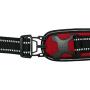 Voyager by Best Pet Supplies Adventure No Pull Harness for Dogs w/ Two Leash Attachment Rings - Extra Padded Vest- Heavy Duty Design- Reflective Walking Harnesses- Great Pet Training Tool- Best Dog Lover Gifts