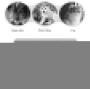 Andiker No-Drip Dog Water Dispenser Bottle-Dog Kennel Cage Water Dispenser Water Drinker Kettle for Pets can be Raised and Lowered Drinking Water Feeding Cage Water Bottle for Dogs
