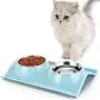 GRANDSEA Double Dog Bowls with Stand, 11 oz Stainless Steel Cat Dish, Dual Use Pet Food and Water Feeder for Small Dogs and Cats