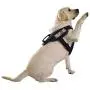 Dogline Therapy Dog Patches for Harnesses and Vests Removable 3D Rubber Patches with Hook Backing for Small Medium or Large Working Dogs