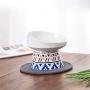 LIONWEI LIONWELI Ceramic Tilted Elevated Cat Dog Bowl Raised Cat Food Water Bowl Dish no Spill Pet Comfort Feeding Bowls with Mat
