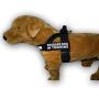 Therapy Dog in Training Nylon Harness No Pull Guide Assistance Comes with 2 Reflective Therapy Dog in Training Removable Reflective Patches. Please Measure Your Dog Before Ordering.
