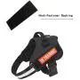 JUJUPUPS Orange Reflective Dog Patches 2 Pack Service Dog,in Training,DO NOT PET,Patches with Hook and Iron On Loop for Vests and Harnesses (in Training, 6x2 inch) JUJUPUPS Orange Reflective Dog Patches 2 Pack Service Dog,in Training,DO NOT PET,Patches with Hook and Iron On Loop for Vests and Harnesses (in Training, 6x2 inch)