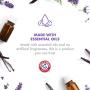 Arm & Hammer Air Care Calming Reed Diffuser for Pets
