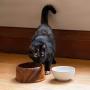 Thirteen Chefs Dog and Cat Water and Food Bowl with Ceramic Insert