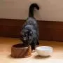 Thirteen Chefs Dog and Cat Water and Food Bowl with Ceramic Insert Thirteen Chefs Dog and Cat Water and Food Bowl with Ceramic Insert